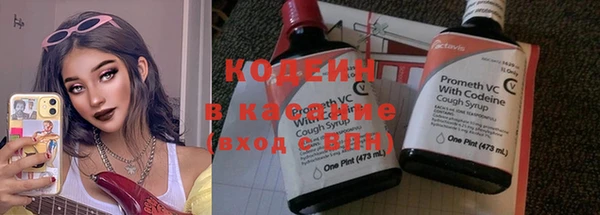 прущий лед Новозыбков