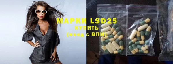 прущий лед Новозыбков