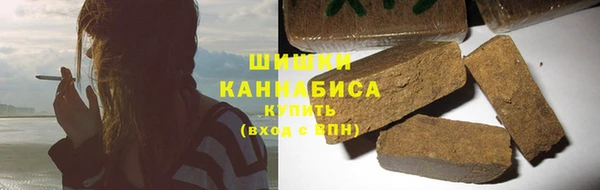 прущий лед Новозыбков