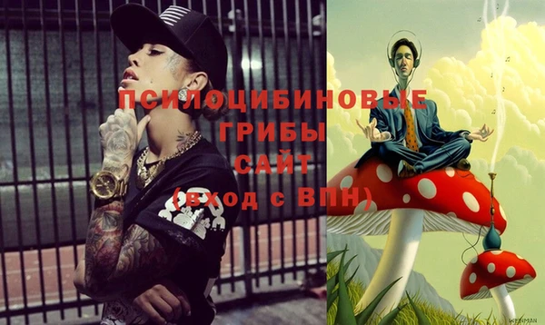 прущий лед Новозыбков