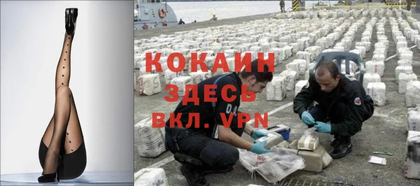 прущий лед Новозыбков