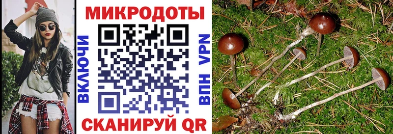 Псилоцибиновые грибы Magic Shrooms  Кущёвская 